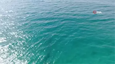 Tam kapanma ve deniz canlılarına nefes oldu