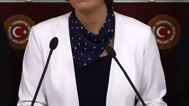 HDP'li Beştaş, HSK üyelerinin Millet ve Cumhur ittifakları arasında pazarlıkla belirlendiğini öne sürdü