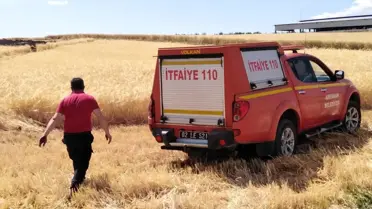 Buğday ve arpa tarlalarında korkutan yangın