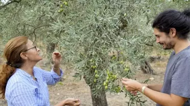14. Ulusal Naturel Sızma Zeytinyağı Kalite Ödülleri Yarışması'nda Aydın'a gümüş madalya
