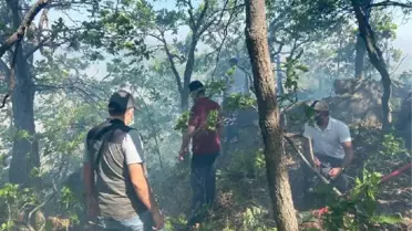 Son dakika... HAMİK DAĞI'NDA ÇIKAN ÖRTÜ YANGINI KONTROL ALTINA ALINDI