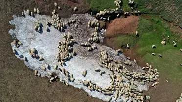 Karadeniz yaylaları muhteşem manzaraları ile ziyaretçilerini bekliyor