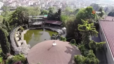 Bu hayvanları en kötü şartlarda ülkeye sokup satıyorlar