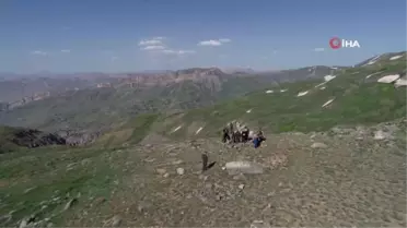 Terörün kökünün kazındığı Şırnak yaylaları piknikçilerle şenlendi