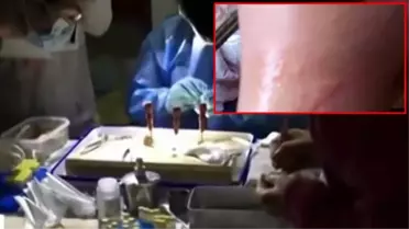 Wuhan'daki laboratuvarda çekildiği ileri sürülen görüntü olay yarattı: Yarasalar uzmanları ısırmış