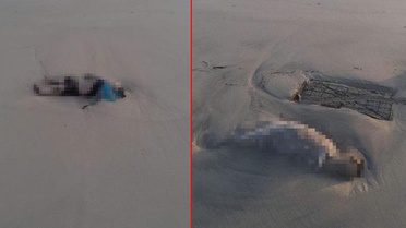 Akdeniz'de boğulan 3 göçmen çocuğun cansız bedeninin Libya kıyılarına vurduğu iddiası