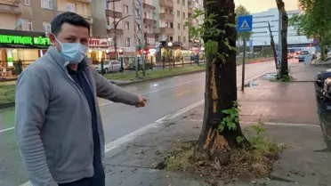 Ağaca yıldırım isabet etmesi güvenlik kamerasınca kaydedildi