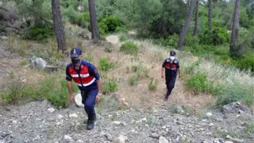 Kayıp kampçıyı arama çalışmaları 11'inci gününde