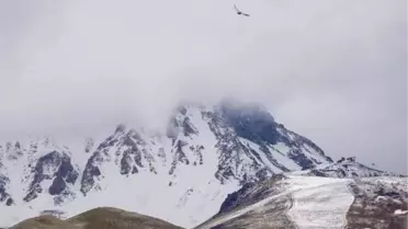 Yurtta haziran karı; yaylalar ve zirveler beyaza büründü