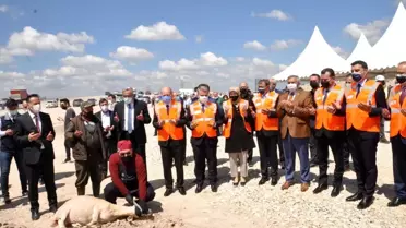 BALOSB genişliyor