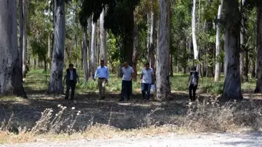 Karabucak Okaliptüs Ormanına 'ekotirizm parkuru' yapılıyor