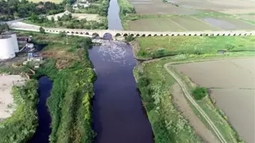 Yıldız Dağları'ndan berrak doğan Ergene Nehri, Trakya'da zehir saçıyor