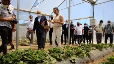 Vali Köşger Efes Tarlası Yaşam Köyünde