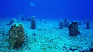 Türk Deniz Araştırmaları Vakfı yarın 'müsilaj' paneli düzenleyecek