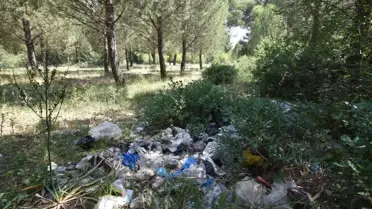 Torbalı'da 'Temizlik Harekatı'