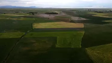 Hüyük'te 408 bin dekar ekili saha kuraklıktan zarar gördü