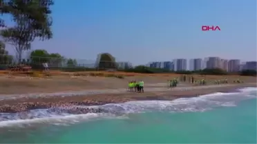 ÖĞRENCİLER KAPLUMBAĞALAR İÇİN SAHİLLERİ TEMİZLEDİ