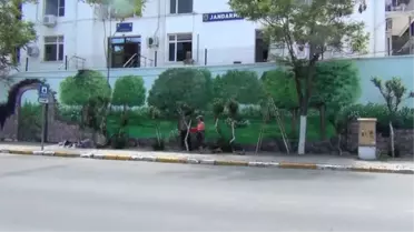 BALIKESİR - Ayvalık'ta Sardunya Festivali öncesi ressamlar çizdikleri resimlerle ilçenin duvarlarını güzelleştiriyor