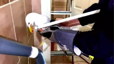 İTFAİYE ERLERİ, AVCILAR'DA HAVALANDIRMA BOŞLUĞUNA DÜŞEN MARTIYI KURTARDI