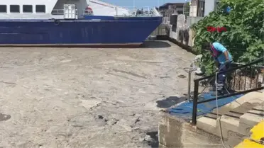 BOSTANCI'DA MÜSİLAJ TEMİZLEME ÇALIŞMALARI SÜRÜYOR