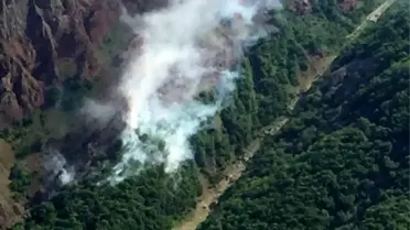 Tunceli'de orman yangını, ekipler müdahale ediyor