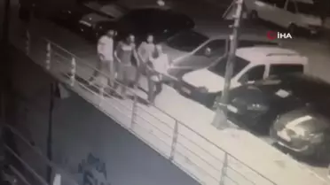 Esenyurt'ta köpeğe pompalı tüfekli saldırı anı kamerada