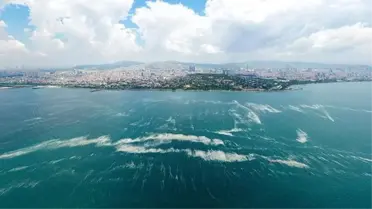 Marmara'da yeni felaket! Çınarcık çukurunda, hidrojen sülfür bulundu