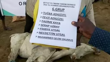 Şefkat Eli 2021 Kurban Vekalet Fiyatını Duyurdu