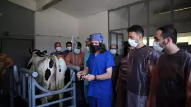 Şampiyonların sayısı bu teknoloji ile artacak