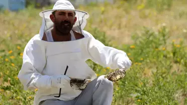 Gezgin arıcıların Muş'un verimli yaylalarına 'tatlı' yolculuğu başladı