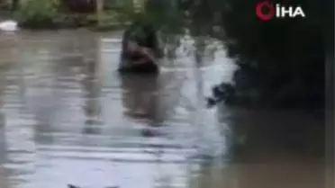 Suya gömülen tek katlı evde mahsur kalan yaşlı kadını itfaiye kurtardı