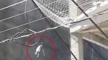Çatıda mahsur kalan köpek yedinci kattan atladı