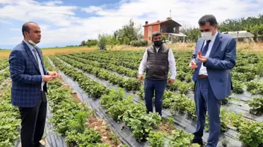 Hüyük'te coğrafi tescilli çileğin tanıtım ve eğitim toplantısı