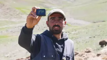 Influencer shepherd's migration journey follow by thousands