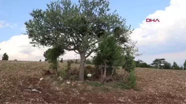 Son dakika haberleri... TARLAYA YILDIRIM İSABET ETTİ, YARALANMAYAN ÇOCUK AİLESİNİN HAYATINI KURTARDI: 7 YARALI