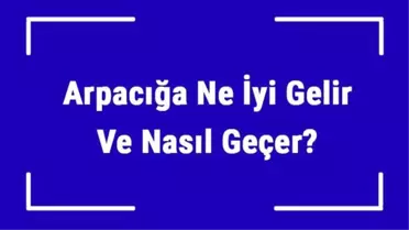 Arpacığa Ne İyi Gelir ve Nasıl Geçer? Arpacık Nedenleri ve Tedavisi