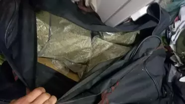 'Çaki' lakaplı zehir tacirinin zula evine operasyon: 55 kilogram 'bonzai' ele geçirildi