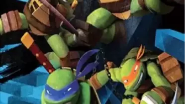 Teenage Mutant Ninja Turtles Filmi