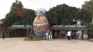 Gaziantep Hayvanat Bahçesinin sakinleri, kavurucu sıcaklarda 'buzlu kokteyl'lerle serinliyor