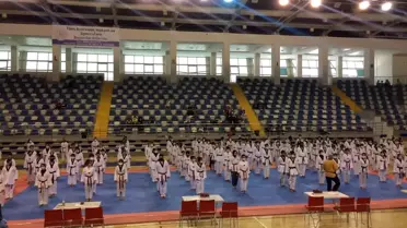 Şahin'den olimpiyat övgüsü