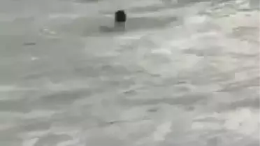 Son dakika haberi! DENİZDE KAYBOLDU, SON ANLARI KAMERADA