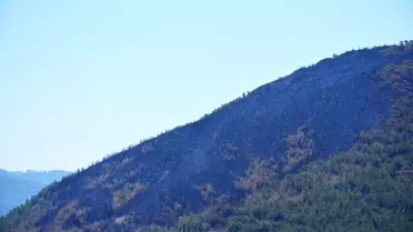 Marmaris'te yanan alan ağaçlandırılıp, buraya yangında hayatını kaybeden işçinin adı verilecek
