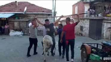 Düğüne geç gelen müzisyene eşek şakası