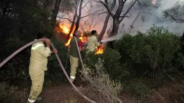 Foça'daki yangının etrafı çevrildi