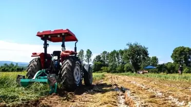 Son dakika haber... Bakan Yardımcısı, kullandığı traktör ile Taşköprü sarımsağının hasadını başlattı