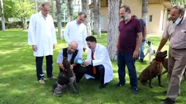 Can dostların da artık bir kimliği var