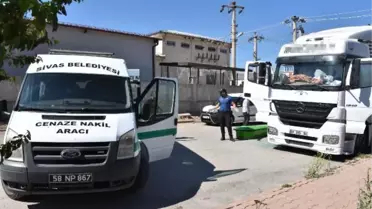 TIR şoförü aracının içinde ölü bulundu