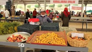 Tosya'da yerli ürünler pazara indi