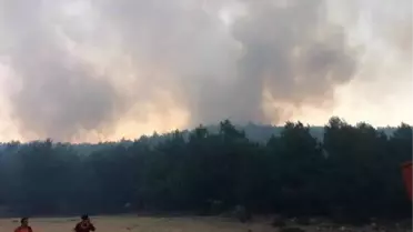 Son dakika haberi... HASSA'DA İKİ AYRI NOKTADA ORMAN YANGINI