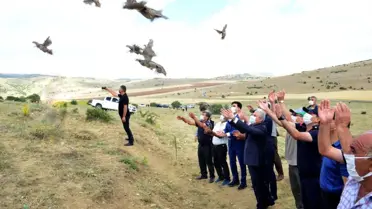 Kırşehir'de yaban hayatı çeşitliliğinin korunması için 425 kınalı keklik doğaya bırakıldı